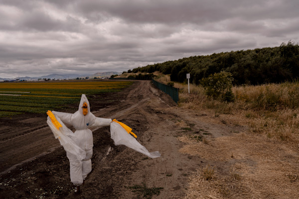 Guardian by Ellen Konar & Steve Goldband, Image 1.