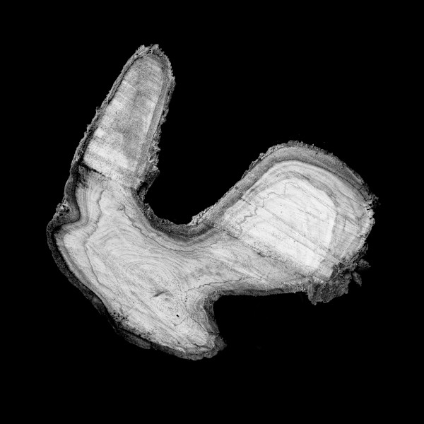 Loretta by Ellen Konar + Steve Goldband, Image 1.