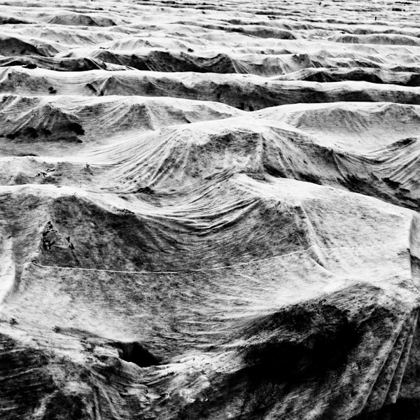 March 3 6-38 by Ellen Konar + Steve Goldband, Image 1.