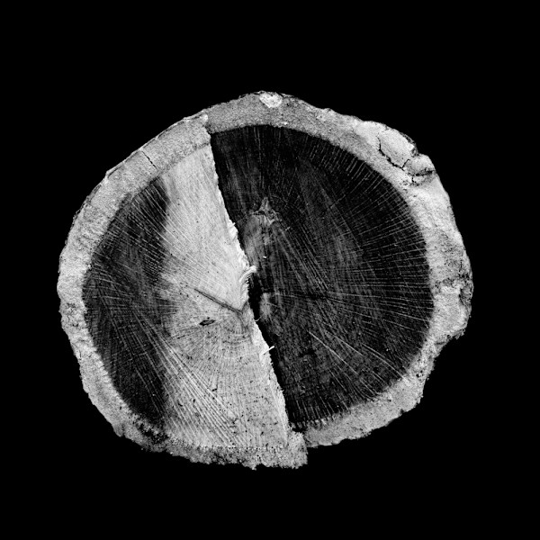 Odin by Ellen Konar + Steve Goldband, Image 1.