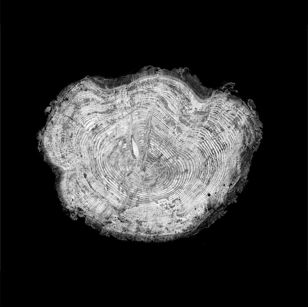 Otto by Ellen Konar + Steve Goldband, Image 1.