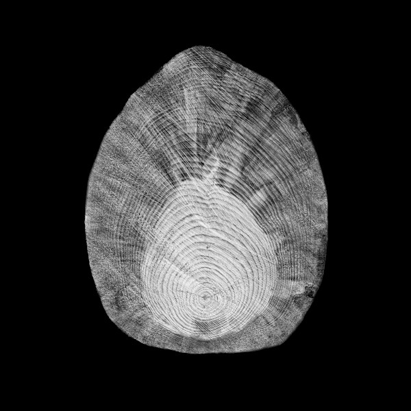 Pere by Ellen Konar + Steve Goldband, Image 1.