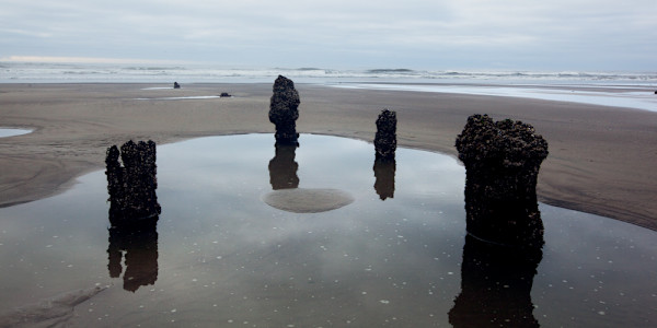 Quartet by Ellen Konar + Steve Goldband, Image 1.