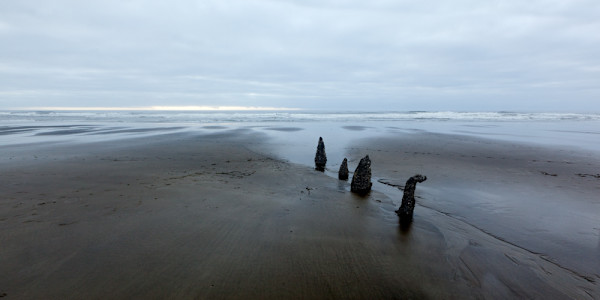 Quartetlet by Ellen Konar + Steve Goldband, Image 1.