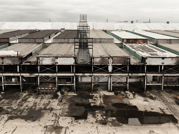 Skeletal remains by Ellen Konar + Steve Goldband, Image 1.