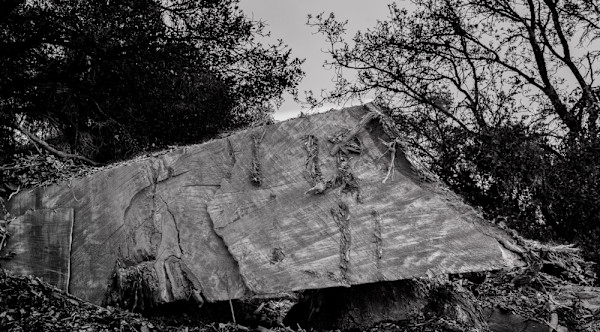 Slab by Ellen Konar + Steve Goldband, Image 1.