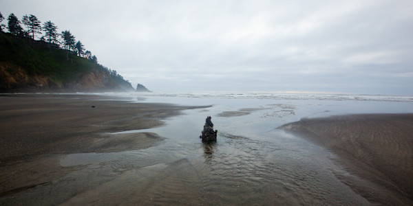Standing Alone by Ellen Konar + Steve Goldband, Image 1.