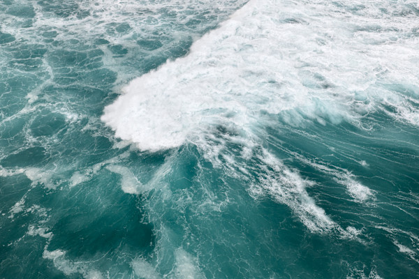 untitled_23 by Ellen Konar & Steve Goldband, Image 1.