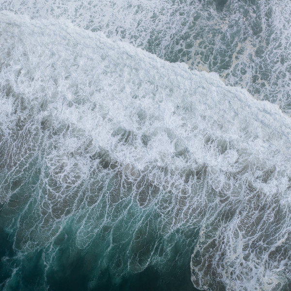 untitled_29 by Ellen Konar & Steve Goldband, Image 1.