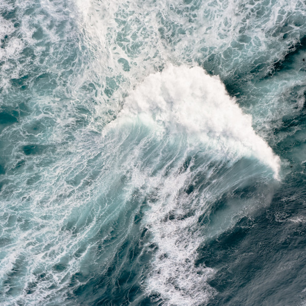 corpus_2 by Ellen Konar & Steve Goldband, Image 1.