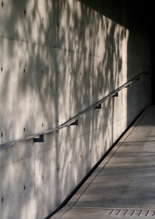 dappled by Ellen Konar + Steve Goldband, Image 1.