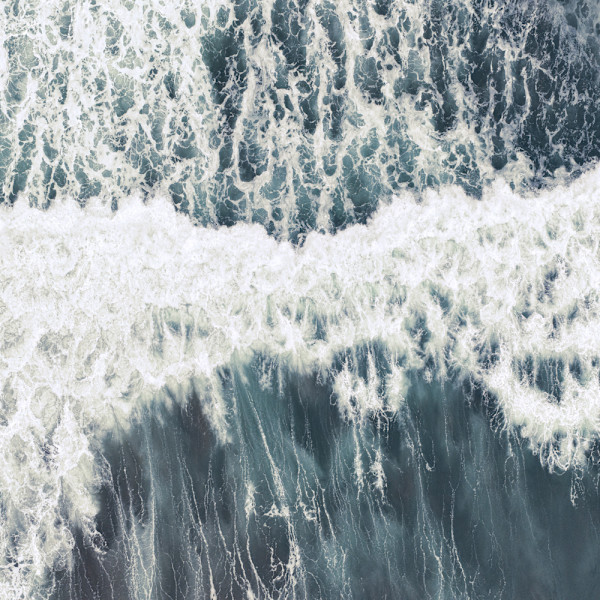 dendrite_2 by Ellen Konar & Steve Goldband, Image 1.