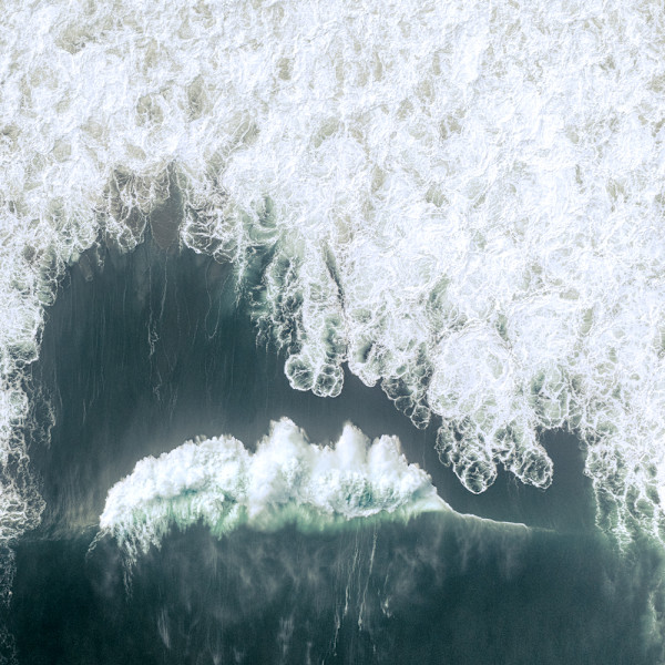 dorsal by Ellen Konar & Steve Goldband, Image 1.