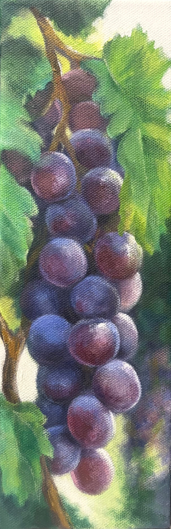 Pinot Grigio by Nadine Baker, Image 1.