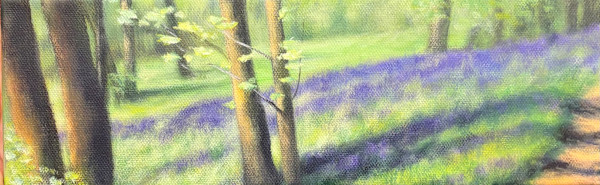 Bluebells by Nadine Baker, Image 1.