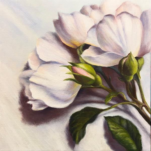 July Roses by Nadine Baker, Image 1.