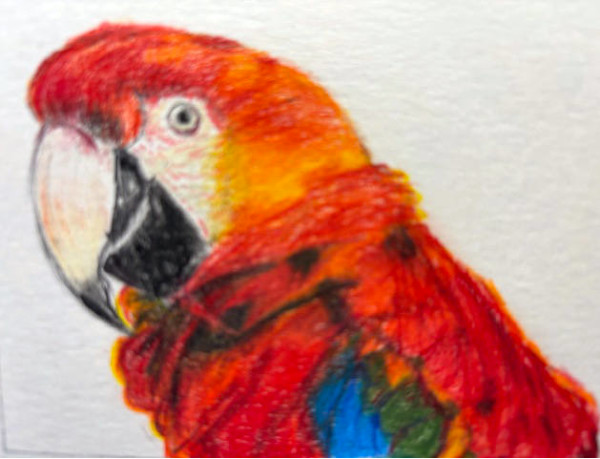 Intense FRAMED by patsy culver, Image 1.