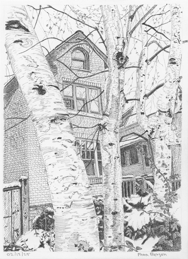 Birch Tree after Fresh Snow by Abra Bergen, Image 1.
