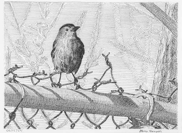 Catbird on a Fence by Abra Bergen, Image 7.