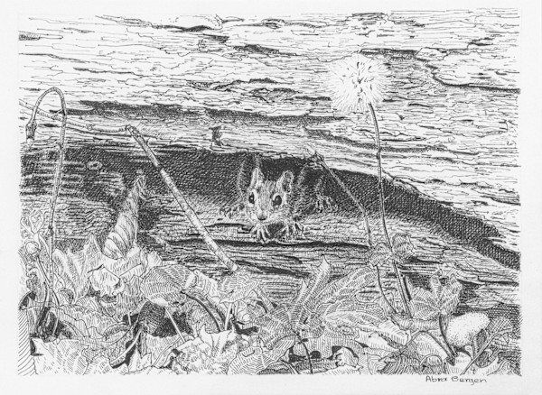 Chipmunk's Log by Abra Bergen, Image 9.