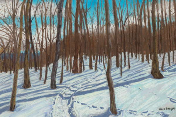 Snowy Bliss at Iroquoia Heights by Abra Bergen, Image 19.
