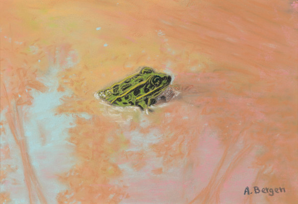 Sovereign of the Puddle by Abra Bergen, Image 1.