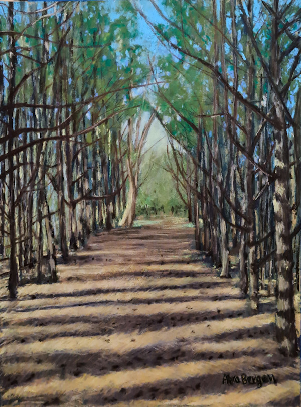 Through the Pine Forest by Abra Bergen, Image 25.