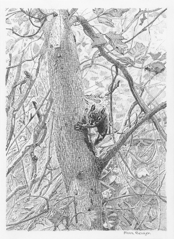 "You Lookin' at Me?" by Abra Bergen, Image 22.