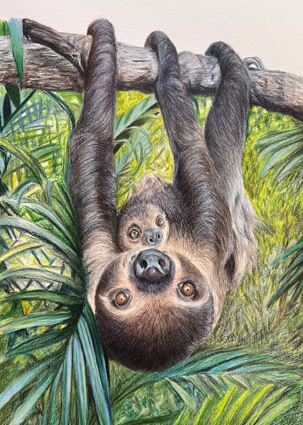Mama and Baby Sloths by Stephanie Henry, Image 1.