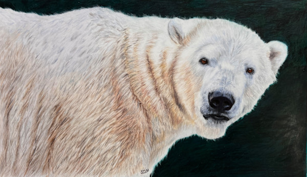Oh, Hey… by Stephanie Henry, Image 1.