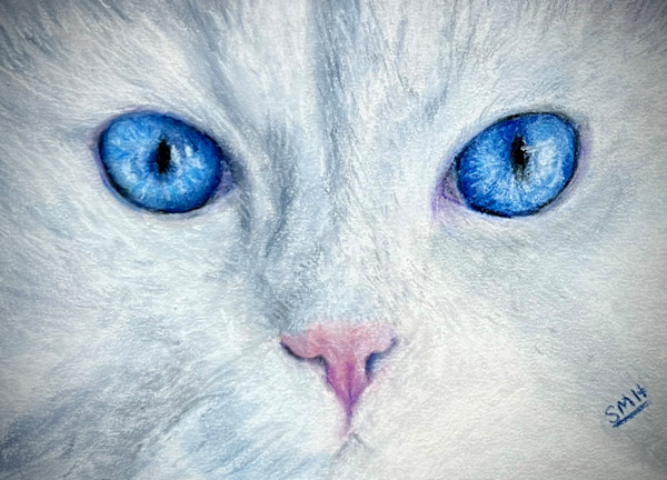 Cat Eyes - White by Stephanie Henry, Image 1.