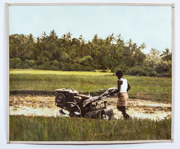 The First Lagoon: The Lagoon at Uppuveli by Harrison Studio, Image 1.