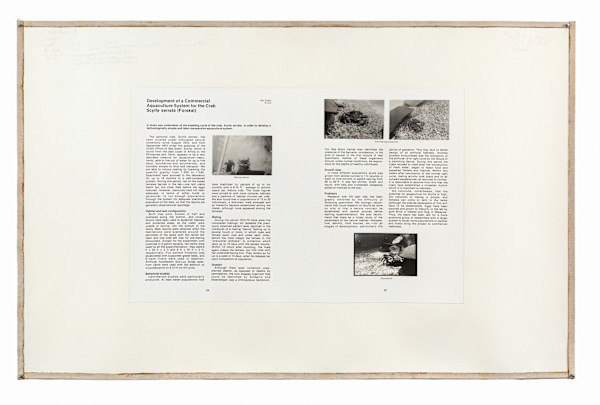 Survival Piece VII, Second Lagoon by Harrison Studio, Image 1.