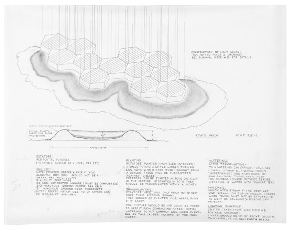 Survival Piece #6 Part 3: Potato Patch and Light Boxes by Harrison Studio, Image 1.