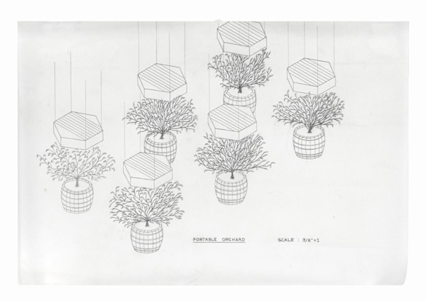 Survival Piece V, Portable Orchard - Sketch by Harrison Studio, Image 1.