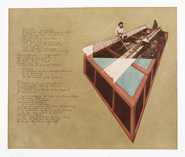 The Book of the Lagoon, Image 1.