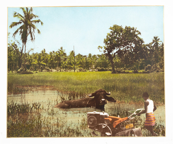 The Book of the Lagoon, Image 1.