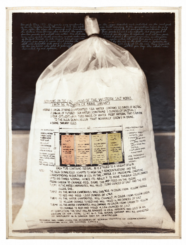 Salt Bag and Harvested in 1971 by Harrison Studio, Image 1.