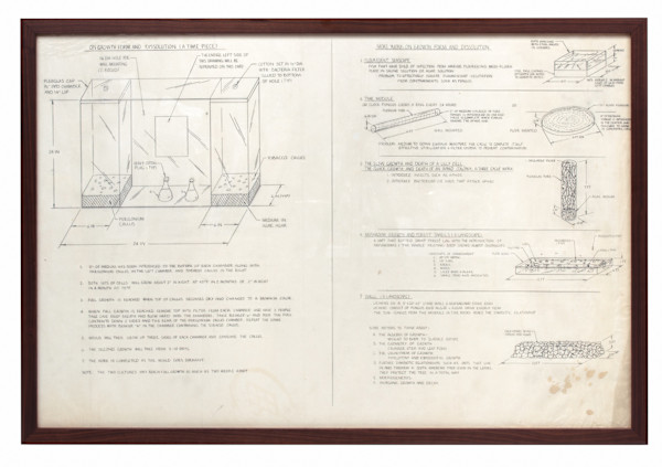 On Growth Form and Dissolution (A Time Piece) by Harrison Studio, Image 1.