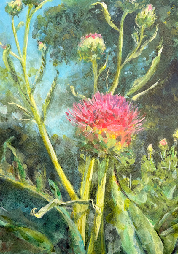 Artichoke  at Jardin d'Acclimatation by Danna Vanderford, Image 1.