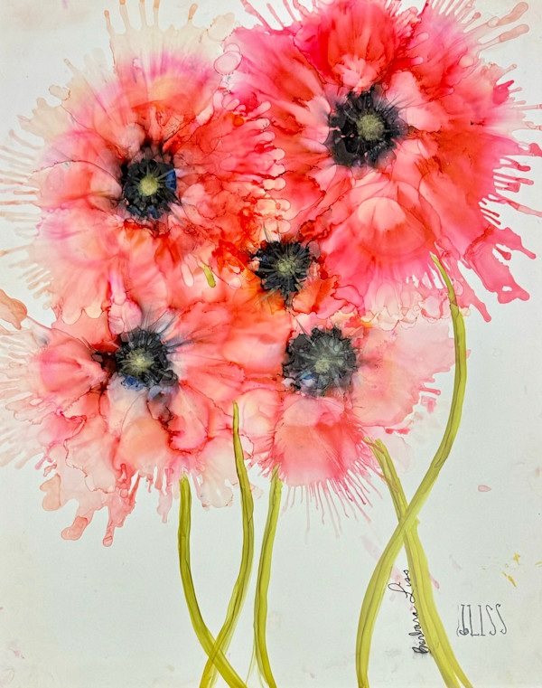 Watermelon Breeze by Barbara Liss