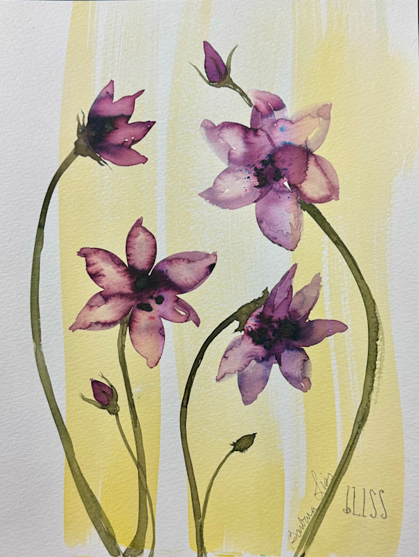 Seeing Through by Barbara Liss