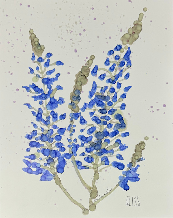 Lupine by Barbara Liss