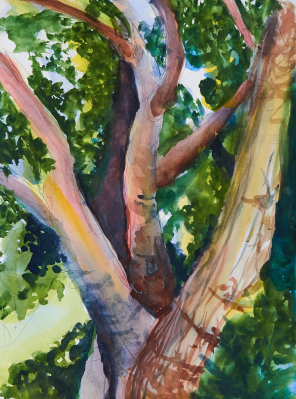 big old tree by beth vendryes williams