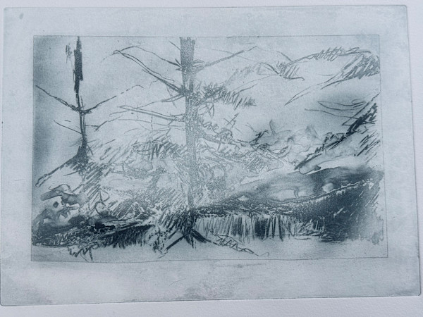 adirondacks series 1 by beth vendryes williams, Image 1.
