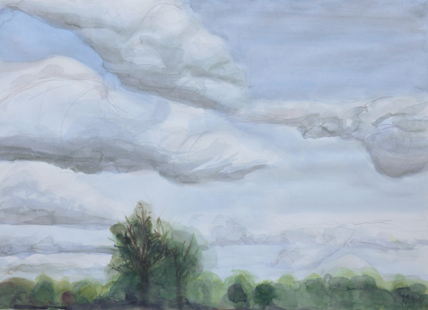 clouds strolling overhead by beth vendryes williams