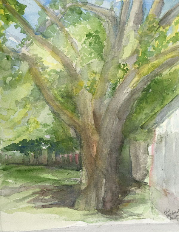 solitary tree: TR's porch  711 by beth vendryes williams