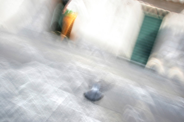Flight by Sonja Wrethman Behrens, Image 1.