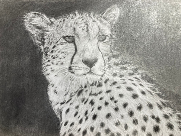 The Look by Jennifer Winkelman, Image 1.