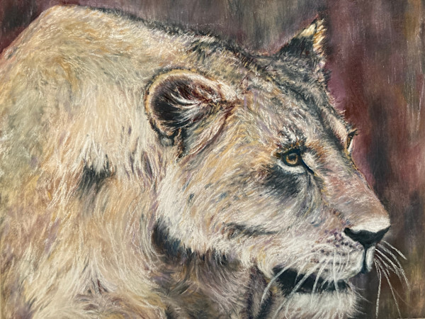 Lioness by Jennifer Winkelman, Image 1.